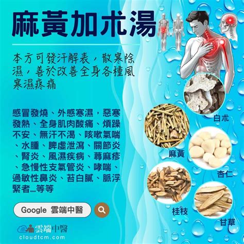 麻黃加朮湯|醫砭 » 金匱要略(宋本) » 麻黃加朮湯